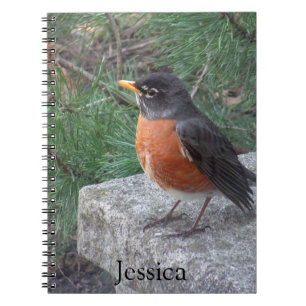 Pretty Robin Photo Personalised Name Notebook