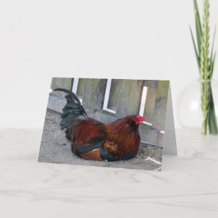 Pretty Rooster Greeting Card