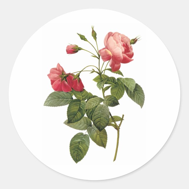 Pretty Roses Classic Round Sticker (Front)