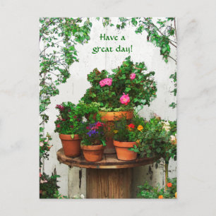 Pretty Roses Post Card