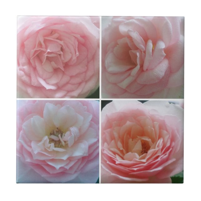 Pretty Roses Tile (Front)