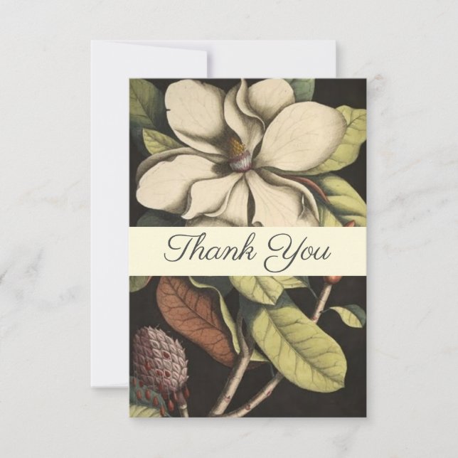 Pretty Sage Cream Magnolia Script Floral Thank You (Front)