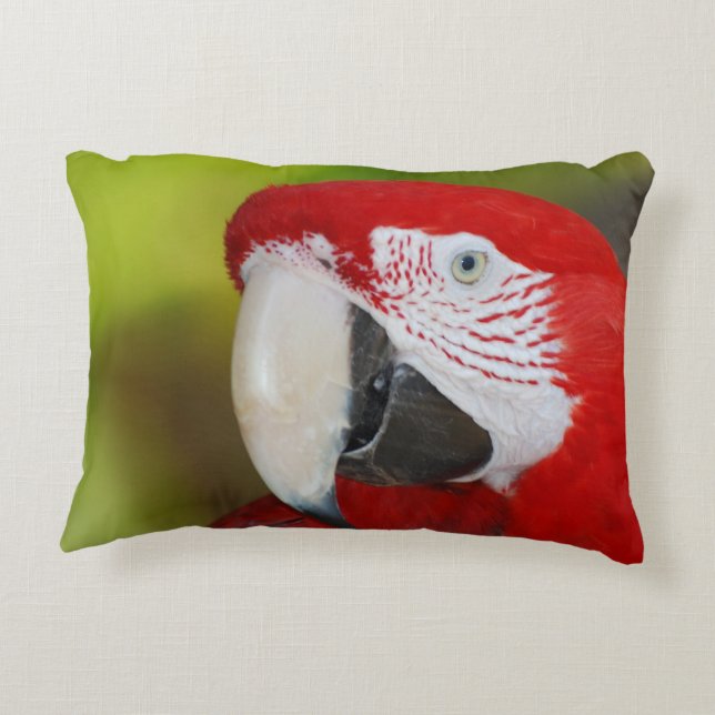 Pretty Scarlet Macaw Decorative Cushion (Back)