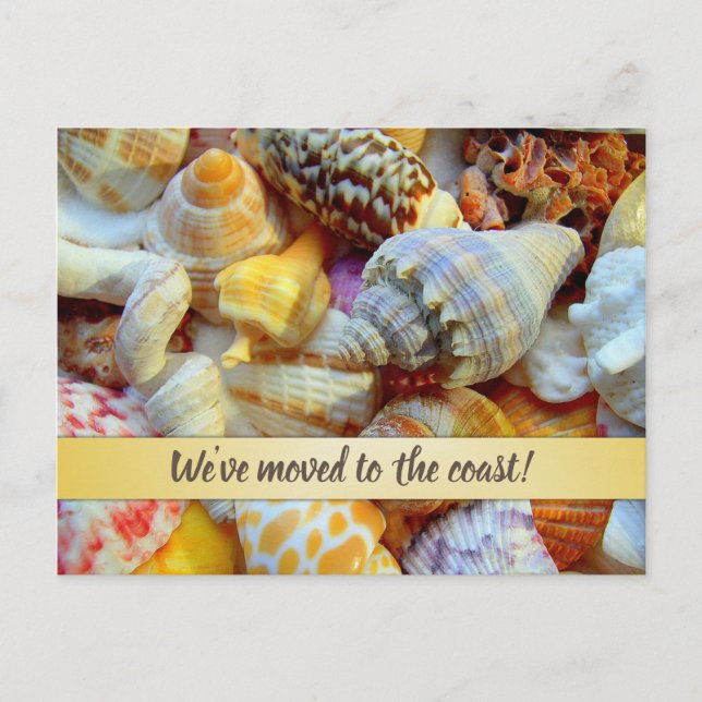 Pretty Seashells Coastal New Address Announcement Postcard (Front)