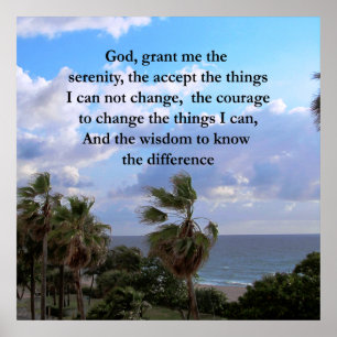 PRETTY SERENITY PRAYER PALM TREE PHOTO DESIGN POSTER