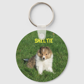 Pretty sheltie puppy sitting in grass keychain