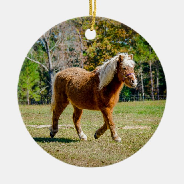 Pretty Shetland Pony Ceramic Tree Decoration (Front)