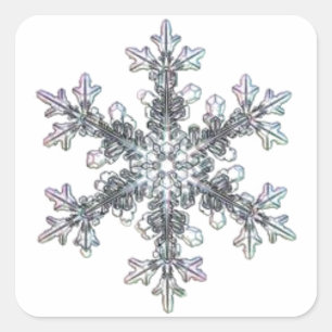 Pretty single Snow flake Square Sticker