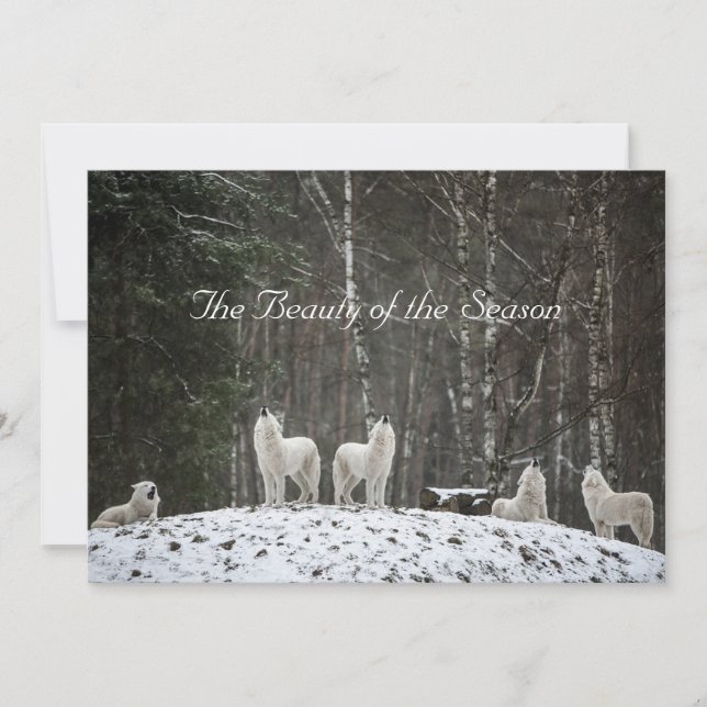 Pretty Snow Scene Nature Wolves Personalise Name Holiday Card (Front)