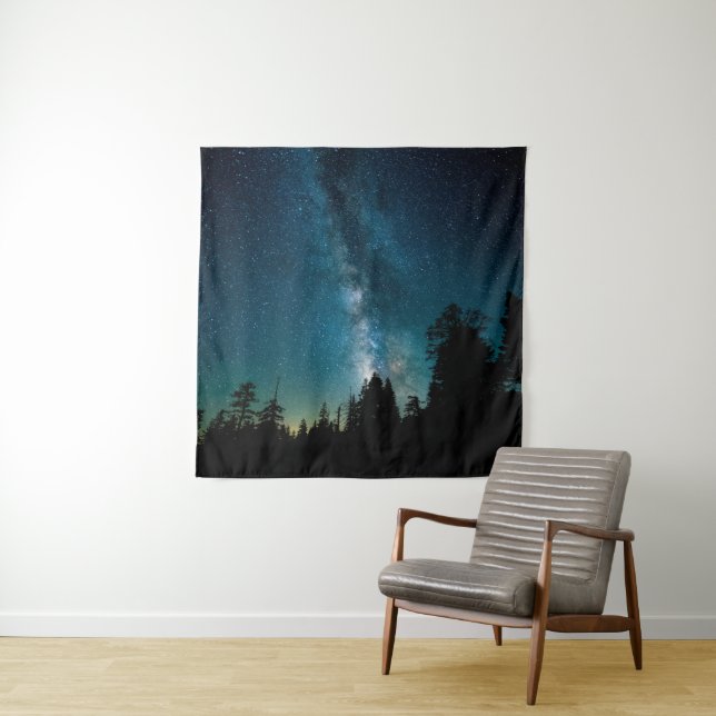Pretty Space Tapestry (In Situ)