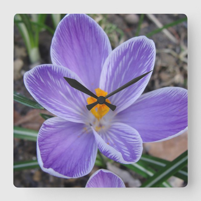 Pretty spring inspired clock (Front)