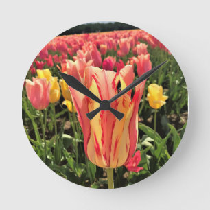Pretty Spring Tulip, Oregon Round Clock