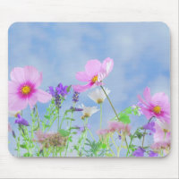 Pretty Spring Wild Flowers