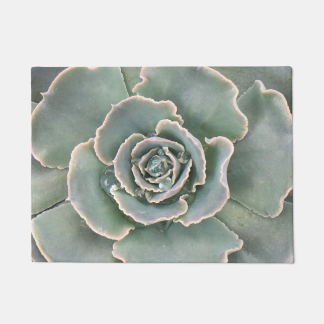 Pretty Succulent Doormat (Front)