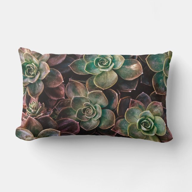 Pretty #Succulent Plants Lumbar Cushion (Front)