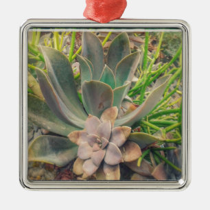 Pretty Succulent Plants Metal Tree Decoration