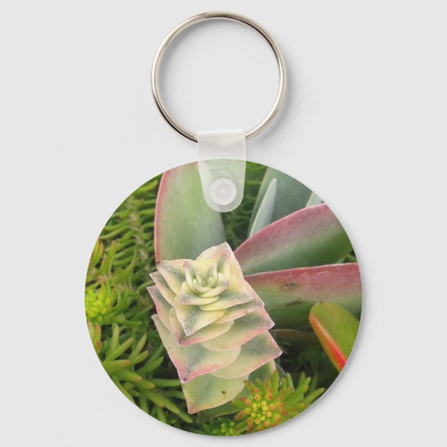 Pretty Succulents Key Ring (Front)