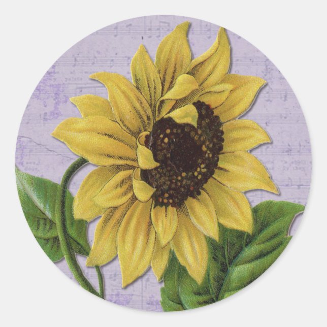 Pretty Sunflower On Sheet Music Classic Round Sticker (Front)
