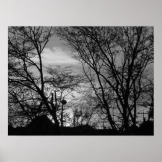 Pretty Sunset Poster