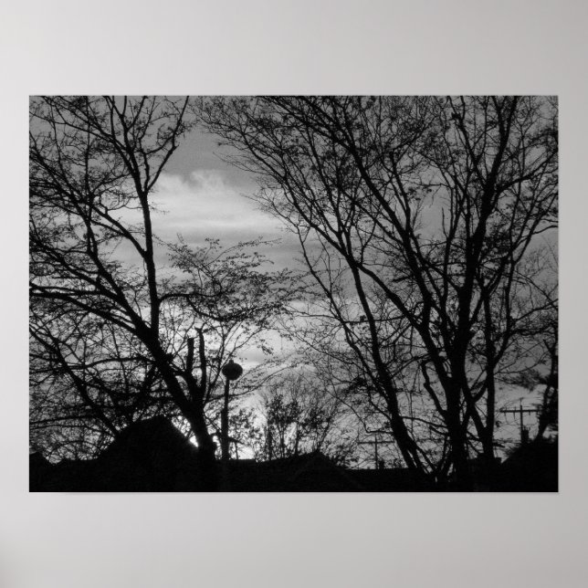 Pretty Sunset Poster (Front)