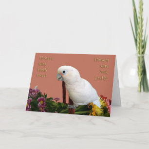 Pretty Sweet Card