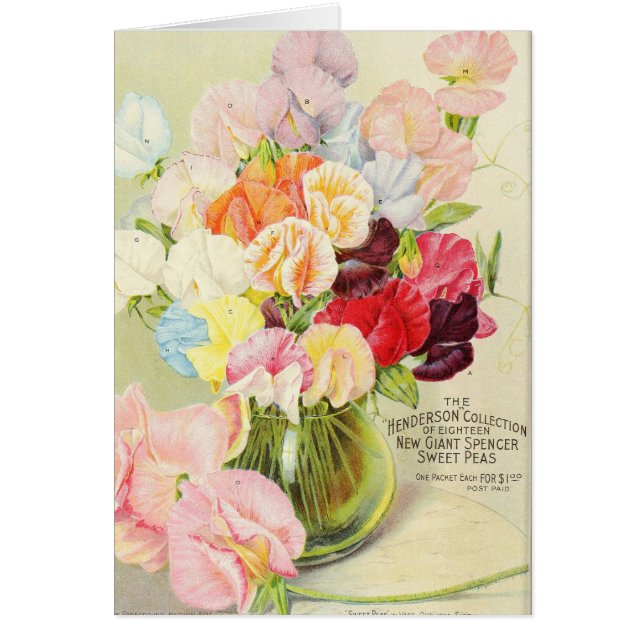 Pretty Sweet Peas (Front)