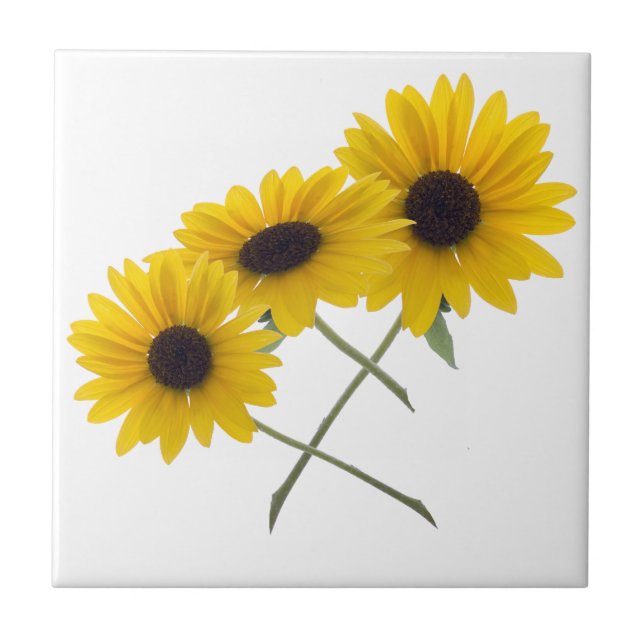 Pretty Triple Sunflower Photograph Tile (Front)