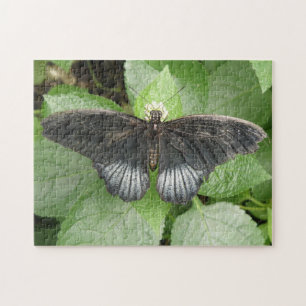 Pretty Tropical Butterfly and Flowers Puzzle