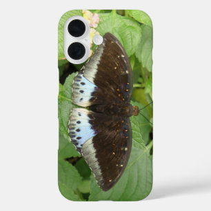 Pretty Tropical Butterfly iPhone 16 Case