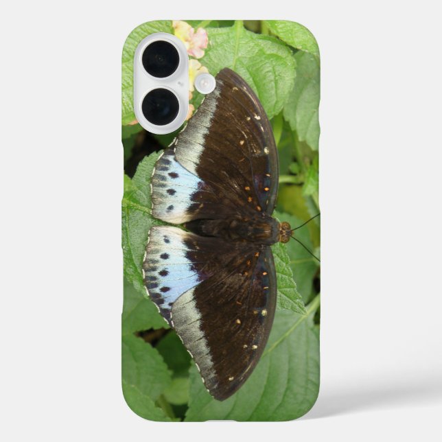 Pretty Tropical Butterfly Case-Mate iPhone Case (Back)
