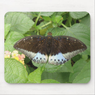 Pretty Tropical Butterfly Mousepad