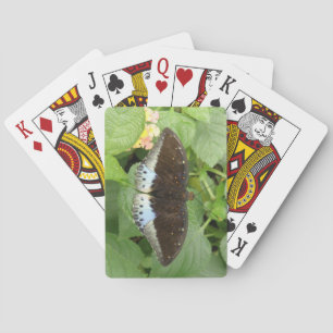 Pretty Tropical Butterfly Playing Cards