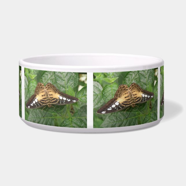 Pretty Tropical Clipper Butterfly Dog Bowl (Front)