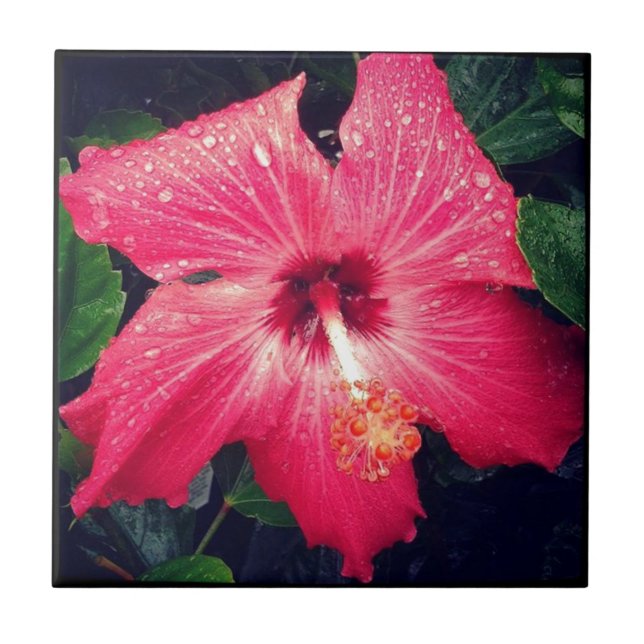 Pretty Tropical Flower Tile (Front)