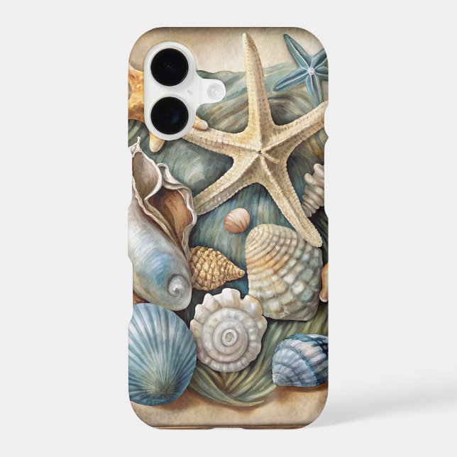 PRETTY TROPICAL SHARFISH AND SEASHELLS (Back)
