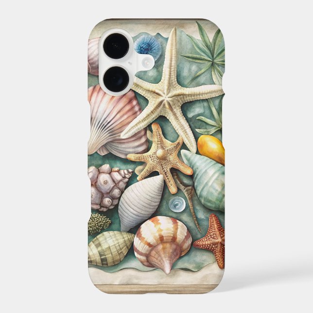 PRETTY TROPICAL SHARFISH AND SEASHELLS (Back)