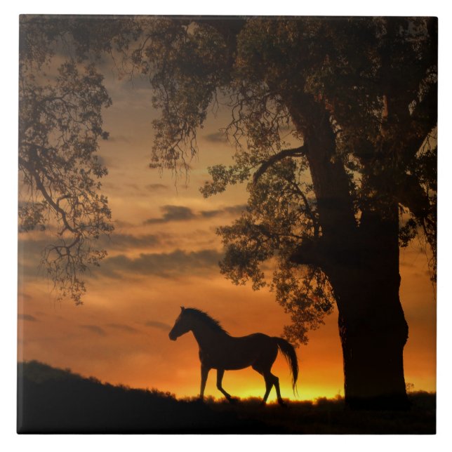 Pretty Trotting Horse in the Sunrise Tile (Front)