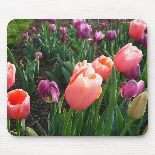 Pretty Tulips Mouse Pad (Front)