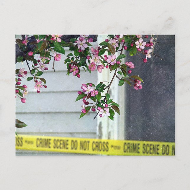 Pretty Ugly Postcard (Front)