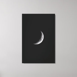 Pretty Universe Canvas Print