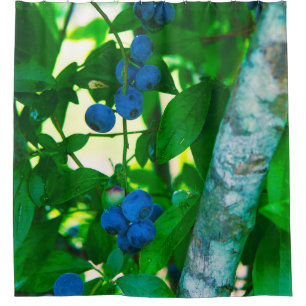 Pretty Vegetables Shower Curtain