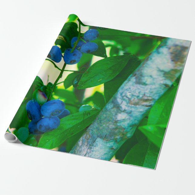 Pretty Vegetables Wrapping Paper (Unrolled)