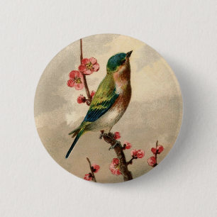 Pretty Vintage bird 6 Cm Round Badge