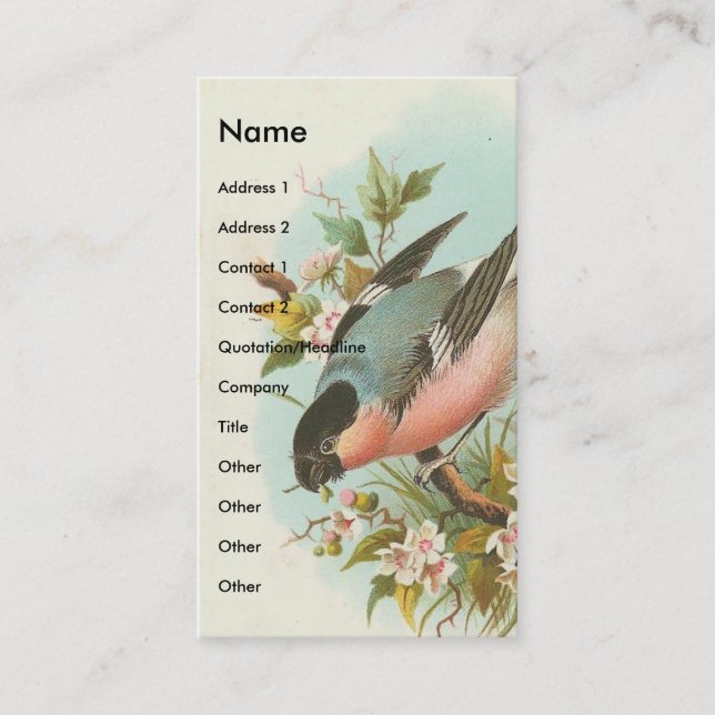 Pretty Vintage Bird Business Card (Front)