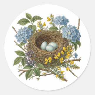 Pretty Vintage Bird Nest Sticker