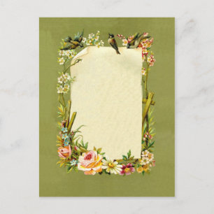 Pretty Vintage Birds & Flowers Border Decoration Postcard