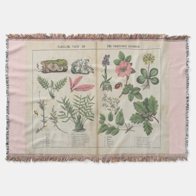 Pretty Vintage Botanical Art Throw Blanket (Front)