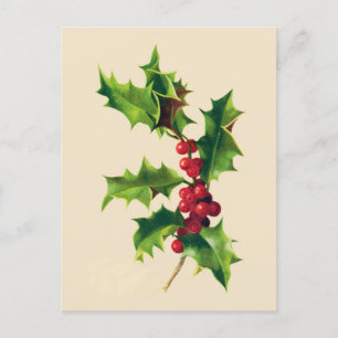 Pretty Vintage Holly branch Postcard