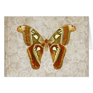 Pretty Vintage Moth Botanical Greeting Card