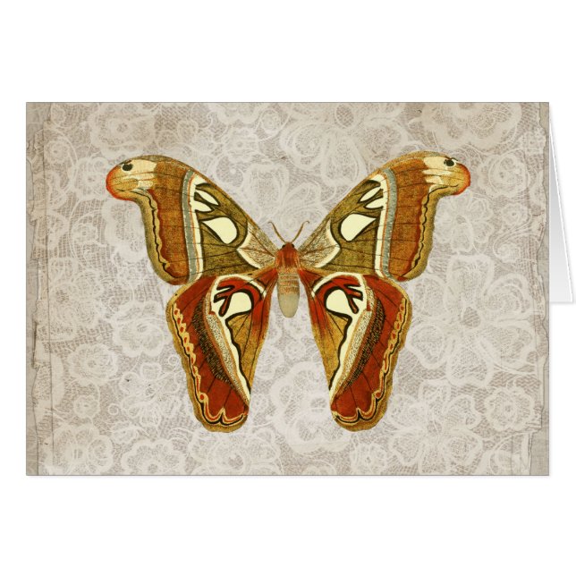 Pretty Vintage Moth Botanical Greeting Card (Front Horizontal)